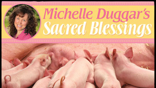 “Michelle Duggar’s Sacred Blessings” calendar is a pitch-perfect parody